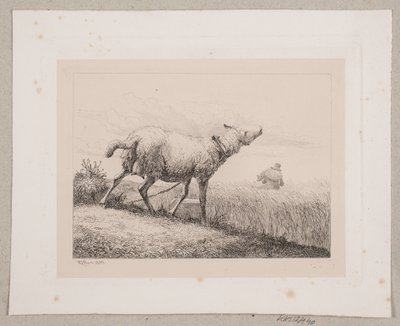 Una oveja balando de Johannes Wilhelm Zillen