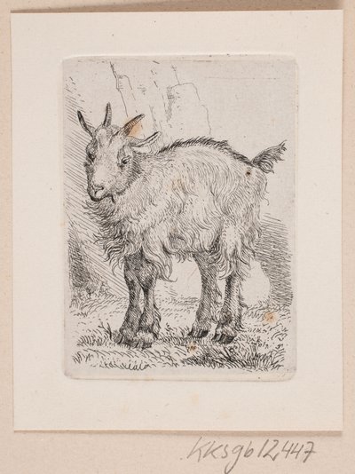 Un cabrito de Johannes Wilhelm Zillen
