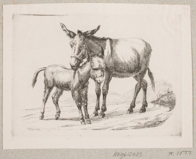 Un burro con su cría de Johannes Wilhelm Zillen