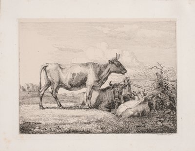 Vacas en el campo de Johannes Wilhelm Zillen