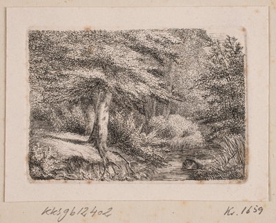Paisaje forestal de Johannes Wilhelm Zillen