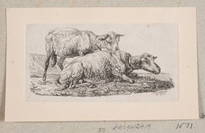 Dos ovejas de Johannes Wilhelm Zillen