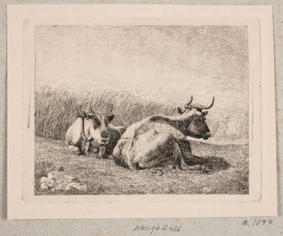 Dos Vacas Descansando de Johannes Wilhelm Zillen