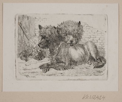 Dos perros acostados de Johannes Wilhelm Zillen