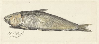 agradable de Johannes le Francq van Berkhey