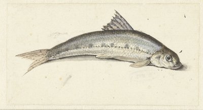 Góndola de Johannes le Francq van Berkhey