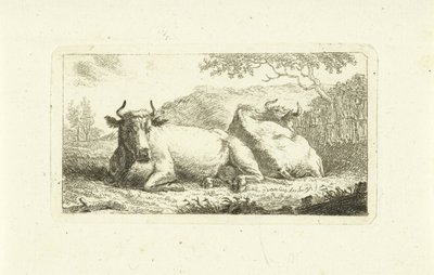 Dos vacas mentirosas de Johannes van Cuylenburgh