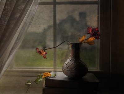 Vista de la ventana con rosas secas de John-Mei Zhong