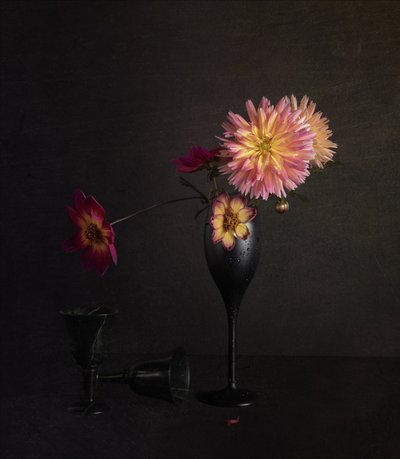 Naturaleza muerta de dalia melancólica de John-Mei Zhong