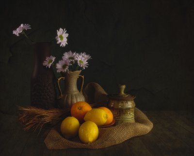Flores y frutas de Moody de John-Mei Zhong