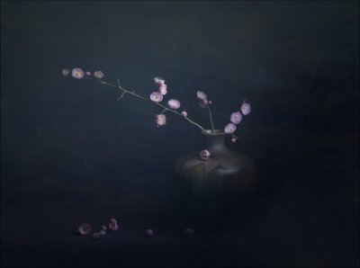 Naturaleza muerta con flores de ciruelo de John-Mei Zhong