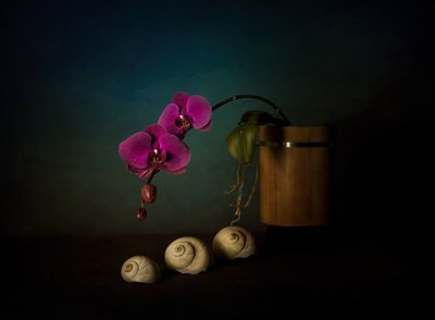 Naturaleza muerta con orquídeas moradas de John-Mei Zhong