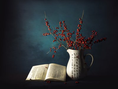 Bayas de invierno y un libro de John-Mei Zhong