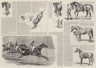 La carrera de un caballo de carreras (grabado) de John (after) Charlton