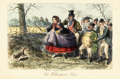 Mujer inglesa con falda de crinolina tratando de atrapar un gato durante una caza de liebres de John (after) Leech
