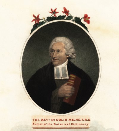 Retrato de Colin Milne, botánico.1806 (grabado) de John (after) Russell