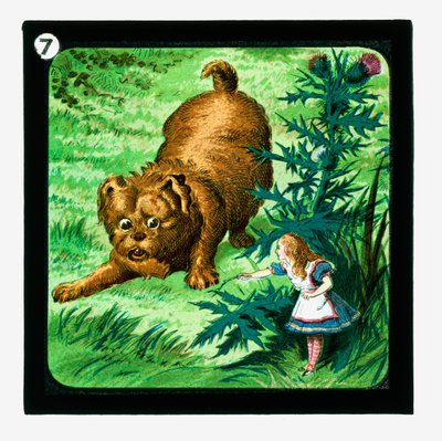 Alicia en el País de las Maravillas, diapositivas coloreadas de John (after) Tenniel