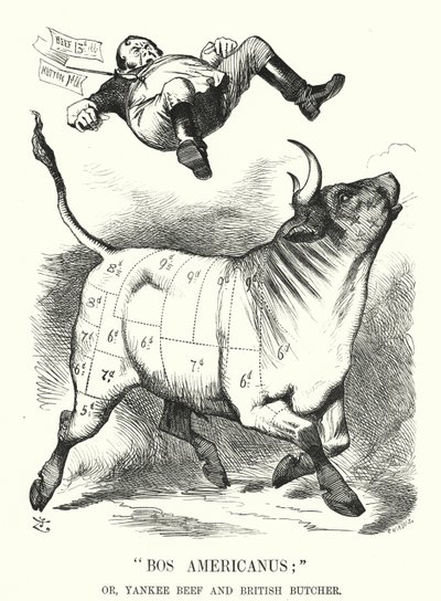 Caricatura de Punch: Bos Americanus; o, carne de res yanqui y carnicero británico - beneficios esperados para los consumidores de la importación de carne americana (grabado) de John (after) Tenniel