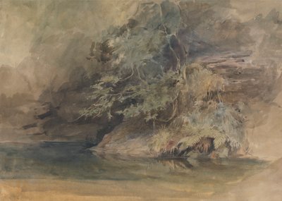 Árboles junto a una piscina de John Absolon
