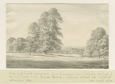 Catedral de Lichfield - Vista desde Aldershaw (distante) de John Allport
