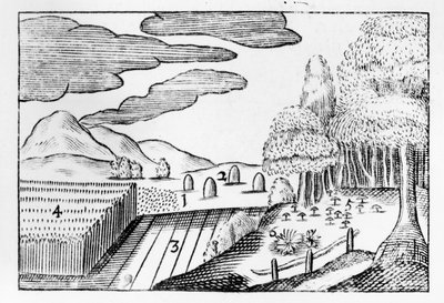 Frutos de la Tierra de John Amos Comenius