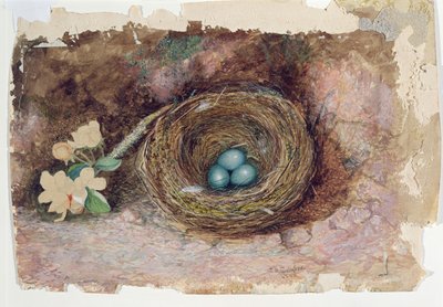 Nido de pájaros de John Atkinson Grimshaw