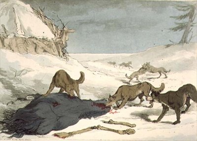 La caza del lobo, lámina 74 del Volumen III de 