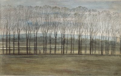 Vista desde Merton College de John Baptist Malchair