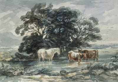 Paisaje, dos vacas y un caballo de pie en el agua (boceto) de John Barker