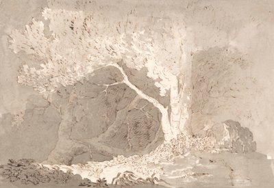 Estudio de árboles de John Baverstock Knight