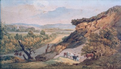 Ringwood de John Bavistock Knight
