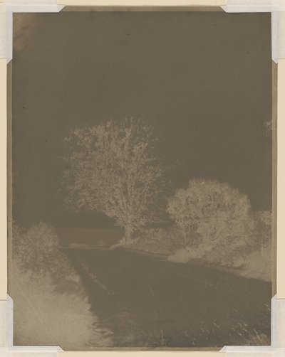 Árbol al borde de la carretera de John Beasley Greene