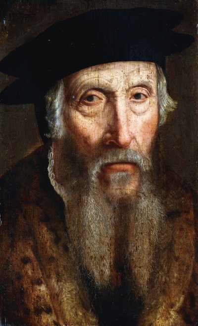 Retrato de un hombre con barba, busto, con un abrigo con ribete de piel y un sombrero negro, c.1547 de John Bettes