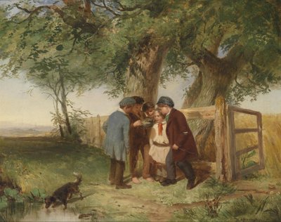 El nido de pájaros de John Blake MacDonald