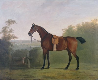 Un cazador bayo en un paisaje de John Boultbee