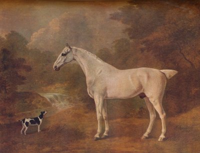 Un gris picado de pulgas y un terrier manchado, 1803 de John Boultbee