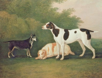 Tres perros en un paisaje de John Boultbee