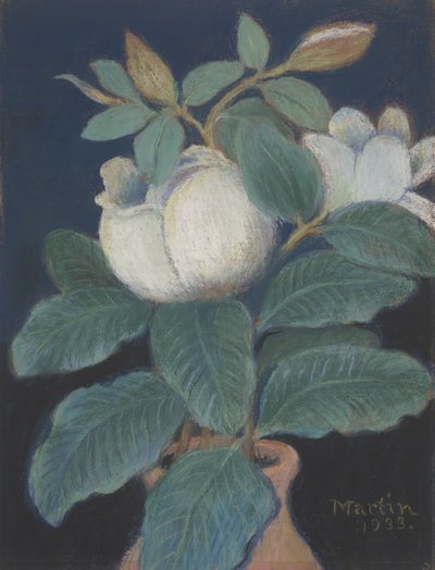 Flores de magnolia, 1933 de John Breckinridge Martin