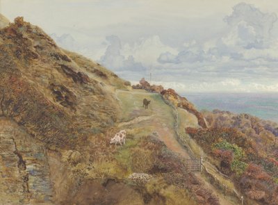 Bonchurch Downs, 1865 de John Brett