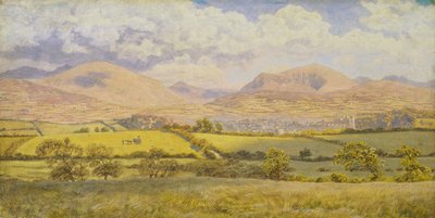 Caernarvon (óleo sobre lienzo) de John Brett