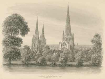 Catedral de Lichfield - Vista Sur de John Buckler