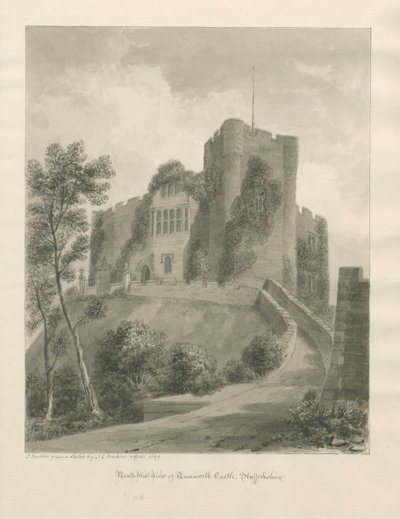 Castillo de Tamworth, abril 1849 de John Buckler