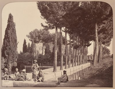 Tribus afganas descansan en los jardines de Babur, Jalalabad, 1878 de John Burke