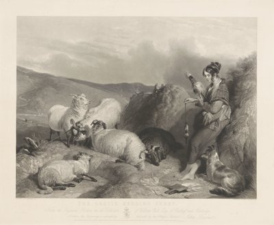 Lassie pastoreando ovejas. de John Burnet