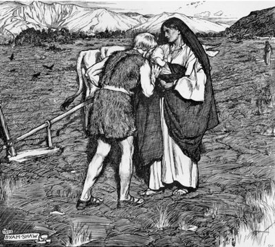 Ilustración para 