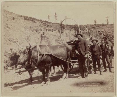  de John C. H. Grabill