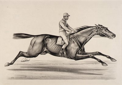 Emperador de Norfolk de John Cameron