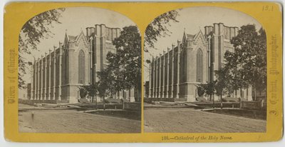 Catedral del Santo Nombre, Chicago, c.1870 de John Carbutt
