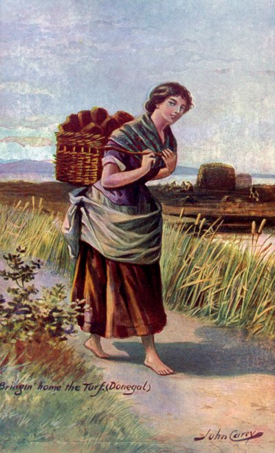 Llevando a casa el césped de John Carey