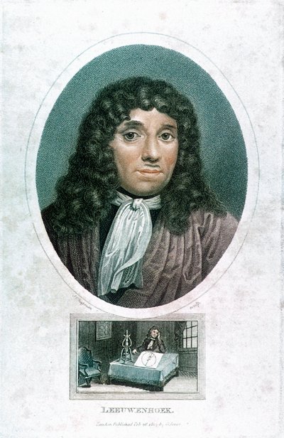 Anton van Leeuwenhoek 1632-1723, microscopista holandés, c. 1810 de John Chapman
